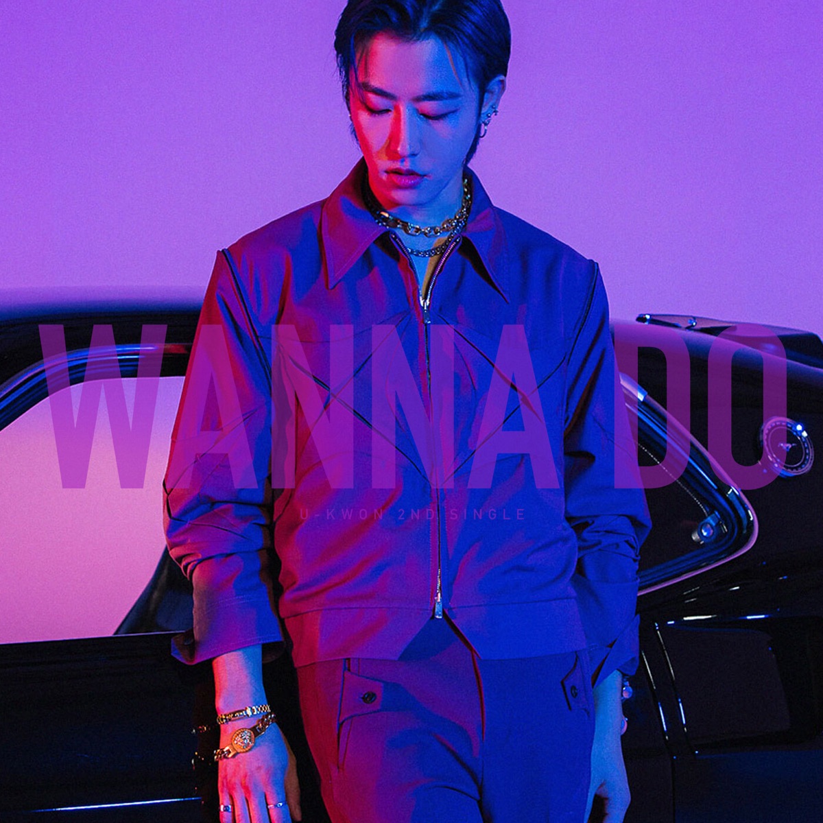 Wanna Do cover